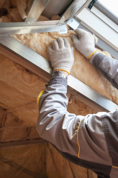 Best Basement Insulation  in Thornton, CO